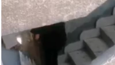 استعراض القوة واستخدام العنف.. اتهامات تلاحق المتهمين بالاعتداء على سيدة السلام 