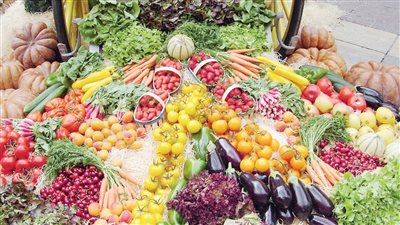 منتشرون في 163 دولة.. الزراعة: لا يوجد حظر على منتج زراعي واحد ونحظى بثقة كبيرة