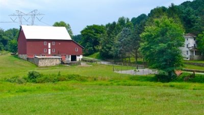 ذاكرة الأمثال (2).. 