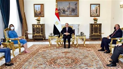 السيسي: استعادة سيادة ليبيا تبدأ بسحب القوات الأجنبية والمرتزقة