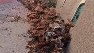  والدة المتهم بواقعة 