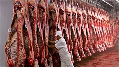 تعرف على أسعار اللحوم في المنافذ الحكومية قبل عيد الأضحى