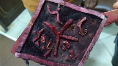 ضبط أختام مزورة وإحباط ترويج طن لحوم ودواجن مجهولة المصدر بالشرقية (صور)