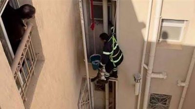 لفتة إنسانية.. إنقاذ قطة عالقة أعلى سطح عمارة سكنية في قنا