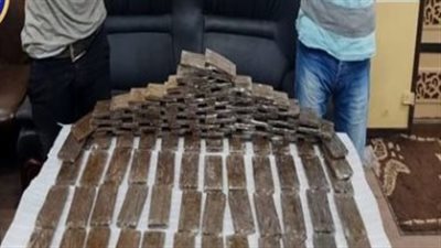 القبض على شخصين بحوزتهما 120 طربة حشيش بـ840 ألف جنيه بالدقهلية