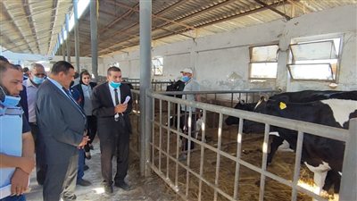 محافظ البحيرة يتفقد مشروع 