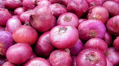 شعبة الخضراوات: انخفاض أسعار البصل والكيلو بـ 23 جنيها في الأسواق المصرية