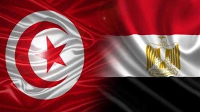 مساعد وزير الخارجية: العلاقات المصرية التونسية تضرب بجذورها في أعماق التاريخ