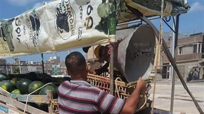 حملة مُكبرة لإزالة الإشغالات وضبط مكبرات الصوت بدمياط