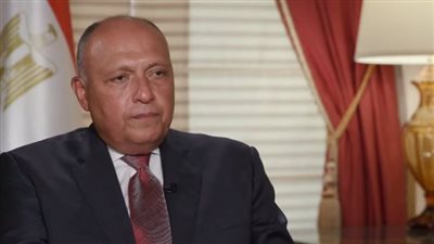 وزير الخارجية يكشف حقيقة توجه وفد مصري إلى تركيا قريبًا