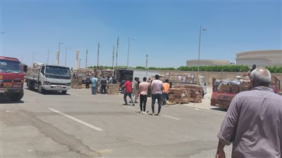 لليوم الثاني.. الناشرون يواصلون نقل الإصدارات إلى معرض الكتاب