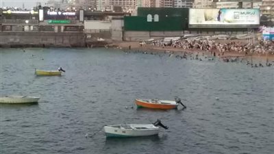 على اسم قنصل يوناني.. 