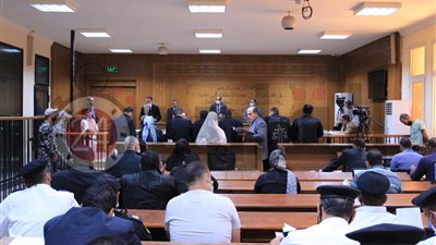 النيابة تطالب بتوقيع أقصى عقوبة على المقاول محمد علي و102 متهم بقضية 