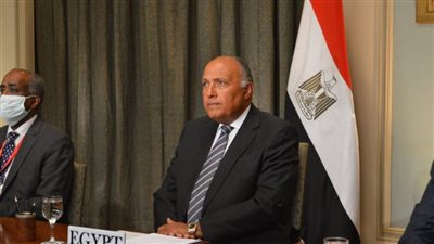 وزير الخارجية يكشف موعد جلسة مجلس الأمن بشأن سد النهضة الإثيوبي