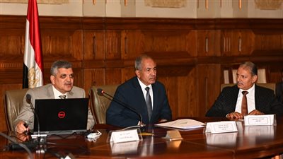 أسامة ربيع: تعويم السفينة إيفر جرين ملحمة مصرية خالصة تؤكد قدرة مصر العالمية في الملاحة 