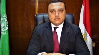 نائب محافظ الدقهلية يتفقد الأعمال الجارية بمشروعات 