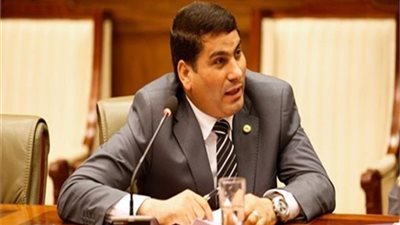 تشريعية النواب تكشف القوانين المساعدة للاستراتيجية الوطنية لحقوق الإنسان