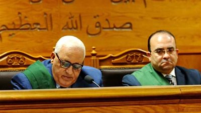 12 أبريل.. الحكم على متهم بالانضمام لجماعة إرهابية في عين شمس