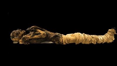 متحف المطار يعرض مومياء رجل من عصر الدولة الحديثة (صور)