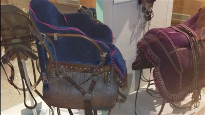 متحف المركبات الملكية يعرض 