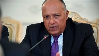 شكري يستقبل المدير التنفيذي لمؤتمر التفاعل وتدابير بناء الثقة في آسيا 