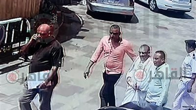 ضبط 227 قطعة أثرية بحوزة 