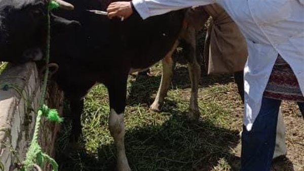 كشف طبي- أرشيفية