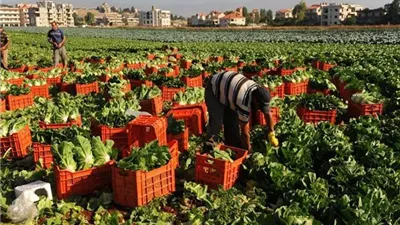 وزير الزراعة: مصر لا زالت الأرخص على مستوى العالم في أسعار المنتجات الزراعية