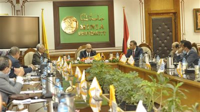 جامعة المنيا.. تشكيل لجان لمراجعة الكتاب الإلكتروني