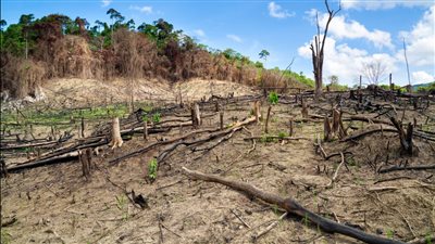 الأمم المتحدة: إفريقيا تشهد أعلى حرارة في الكوكب وتعاني كوارث مناخية