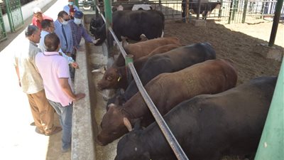 جامعة سوهاج تطرح 