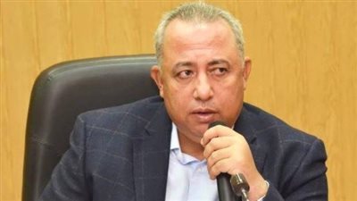 مصادر تكشف حقيقة القبض على محافظ الشرقية الأسبق بتهمة تهريب الآثار (صورة)