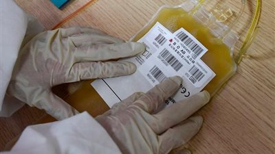 تصنيع مشتقات البلازما في مصر.. حلم يتحقق