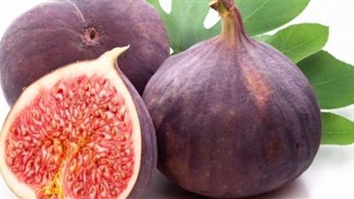 يخفض الكوليسترول ويحمي العظام.. فوائد فاكهة التين