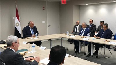 من 4 دول.. وزير الخارجية يلتقي باللجنة العربية المعنية بمتابعة تطورات ملف سد النهضة (صور)