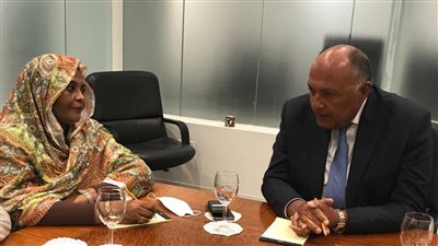 وزير الخارجية يبحث مع نظيرته السودانية مستجدات ملف سد النهضة
