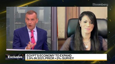 وزيرة التعاون الدولي تستعرض مع 