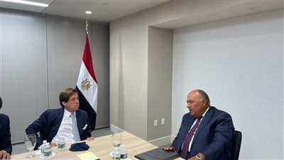 أمريكا تبلغ مصر عزمها التدخل لإنهاء أزمة سد النهضة في مجلس الأمن 