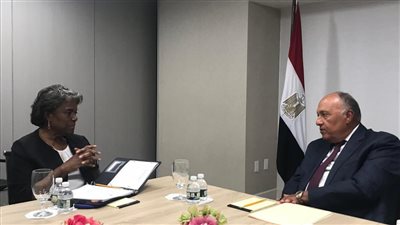 شكري يبحث مع مندوبة الولايات المتحدة في مجلس الأمن تطورات قضية سد النهضة 