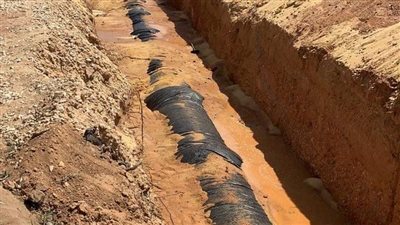 مساعد نائب رئيس 