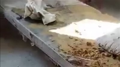 استغاثة للرئيس.. معلمات يشتكين من تدني مستوى استراحة امتحانات الثانوية العامة (فيديو)