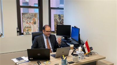 نقص مليار متر مياه يهدد 290 ألف مواطن.. مصر تقدم إحاطة جديدة لمجلس الأمن (صور)