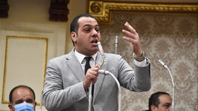 طلب إحاطة لوزير الكهرباء بسبب إنقطاع التيار الكهربائي عن قرى كفر الدوار