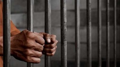 حبس سائق 4 أيام لتسببه في وفاة رضيع وإصابة والدته بالخانكة 