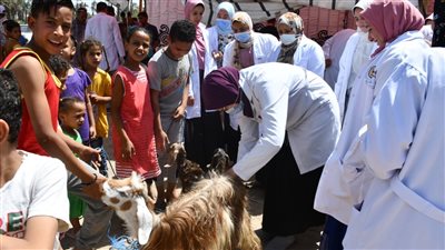 علاج 300 رأس ماشية بالمجان بسوهاج قبل عيد الأضحى