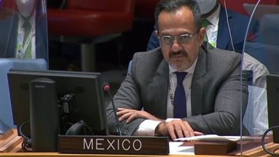 مندوب المكسيك: سد النهضة يمكن أن يتحول لأزمة تهدد الأمن والسلم الدوليين