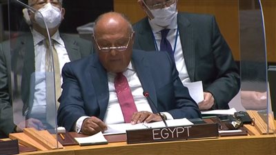 وزير الخارجية بمجلس الأمن: إثيوبيا سعت لتبرير المواقف غير المنطقية بحجج واهية