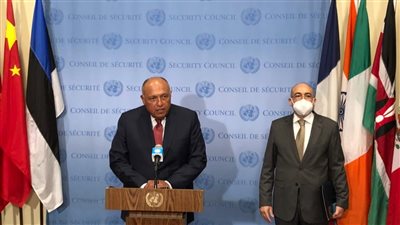 شكري: أثق في قدرة مجلس الأمن على الاضطلاع بدوره لحل أزمة سد النهضة 