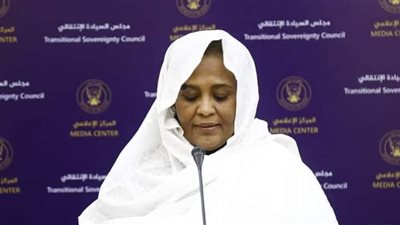 السودان بمجلس الأمن: في حال عدم التوصل لاتفاق تتحول فوائد سد النهضة لمخاطر جسيمة