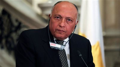 وزير الخارجية: مصر ستدافع عن حقوق مواطنيها بكل الوسائل المتاحة